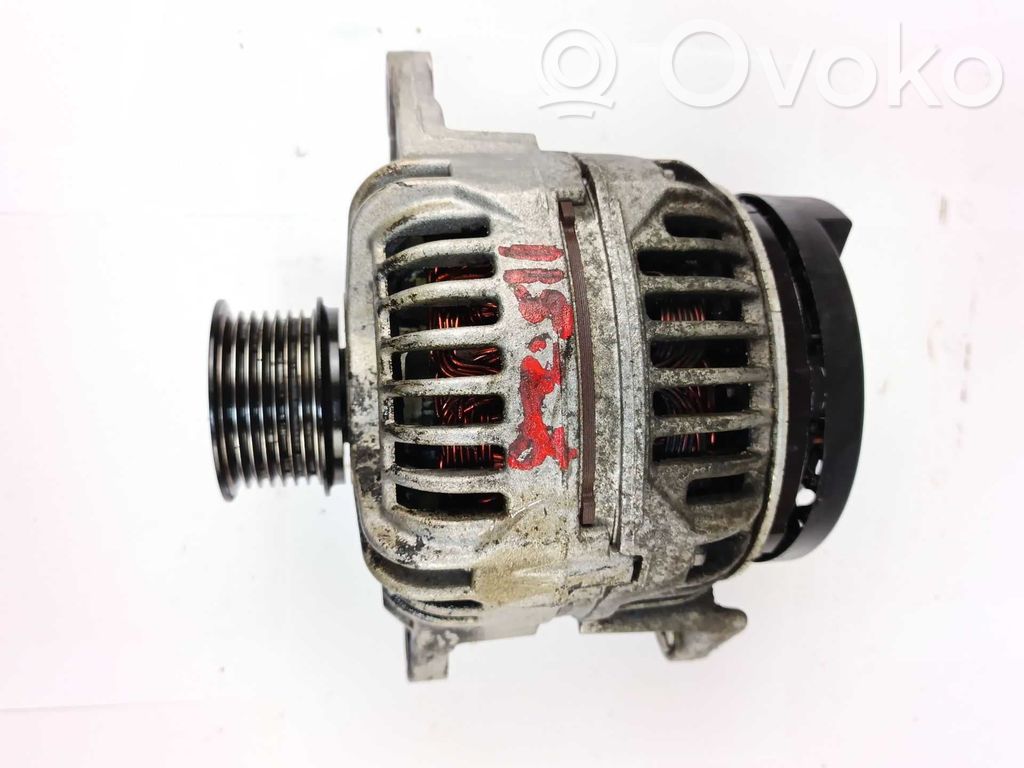 Generatore/alternatore   504009978