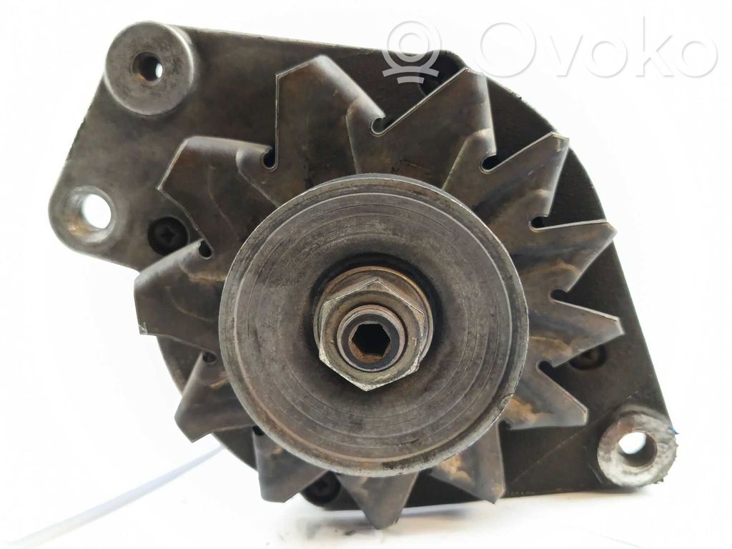 Generator/alternator   028903025GX