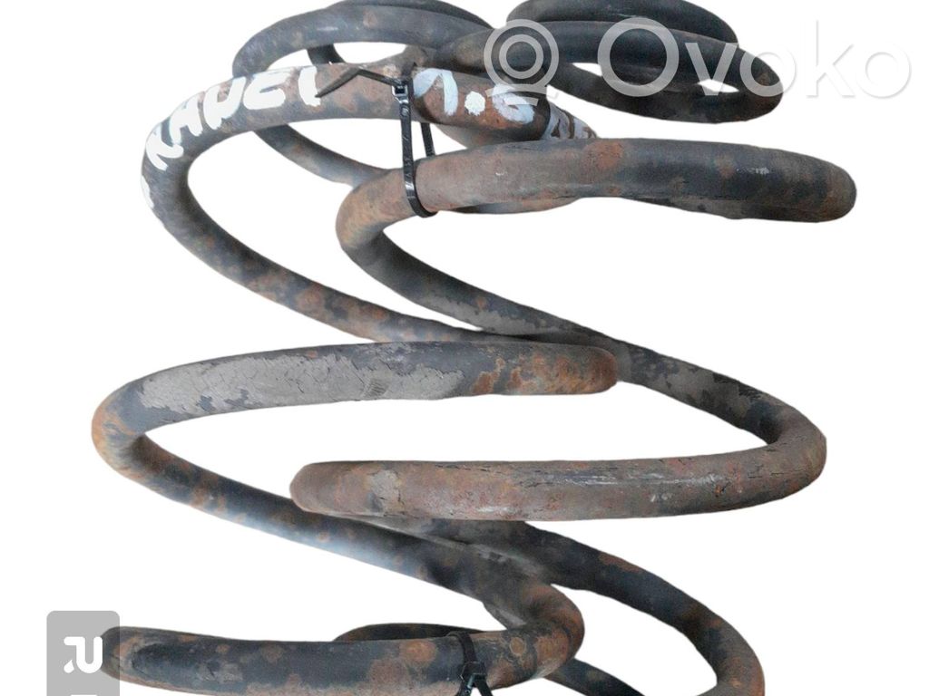 Rear coil spring