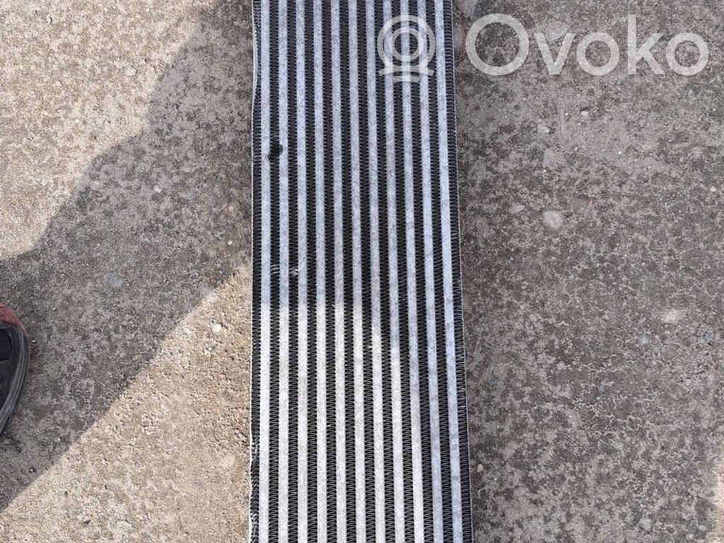 Interkūlerio radiatorius   924409201R,14496001R