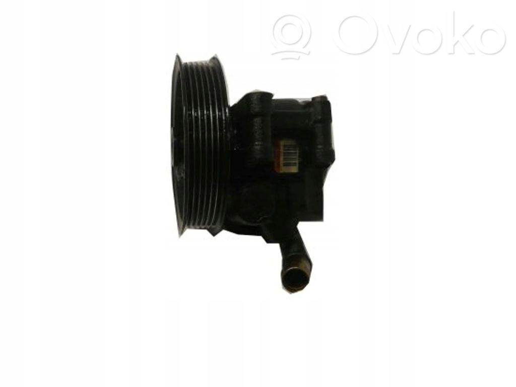Ford Focus Vairo stiprintuvo siurblys 