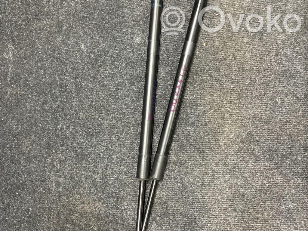Dodge Durango III Tailgate/trunk strut/damper 