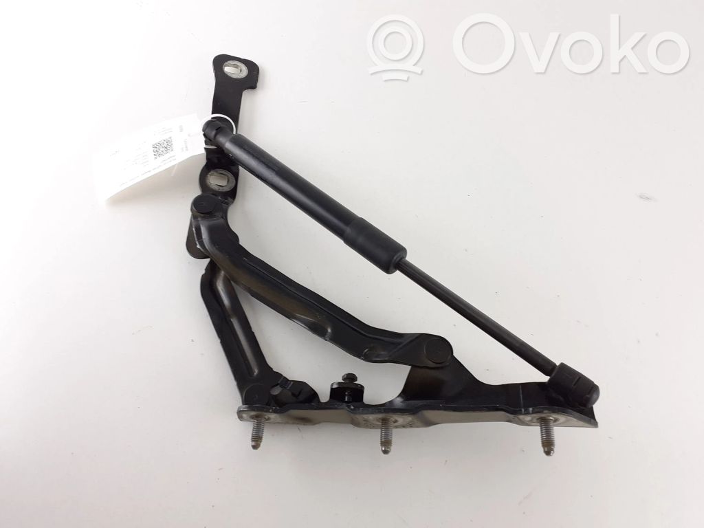 Tesla Model 3 Tailgate/trunk/boot hinge 