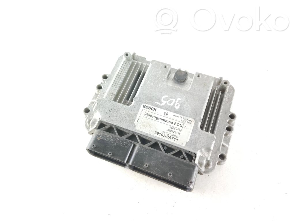 Engine control unit/module   391022A711,18841429,1039S23175
