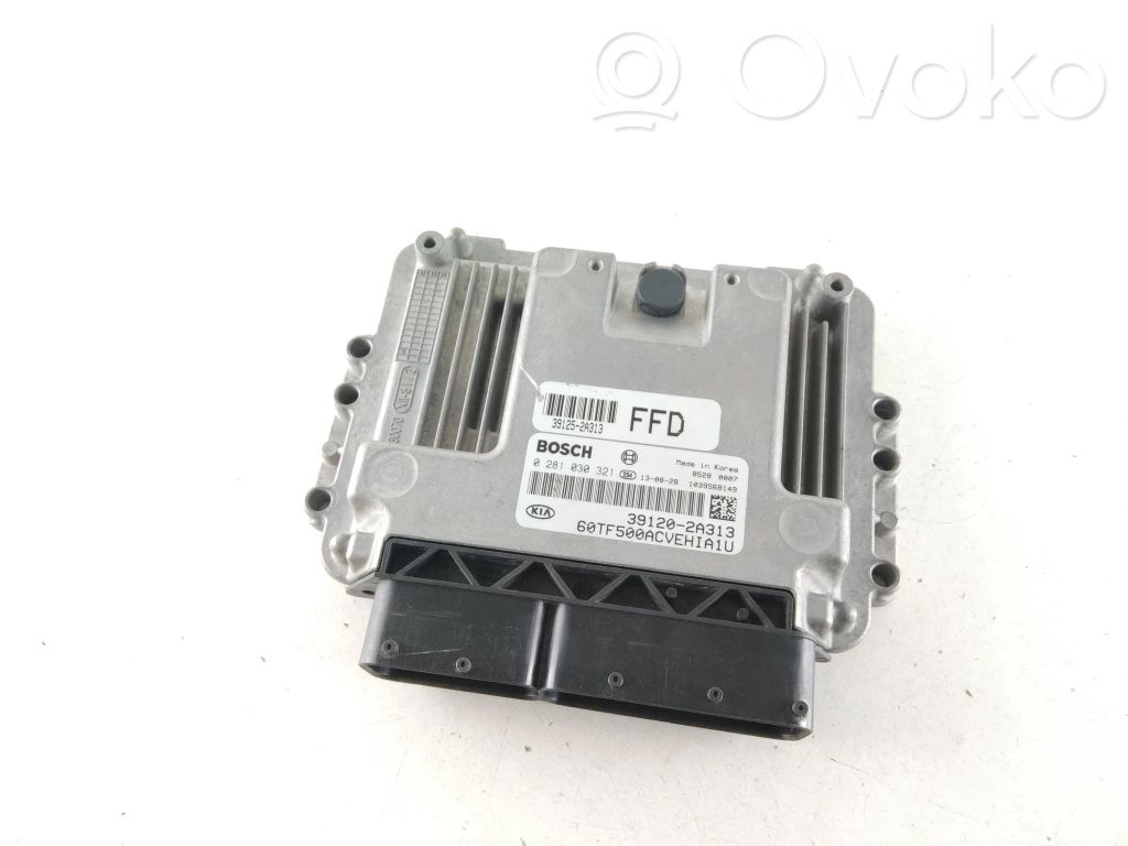 Engine control unit/module   391202A313,391252A313,0281030321