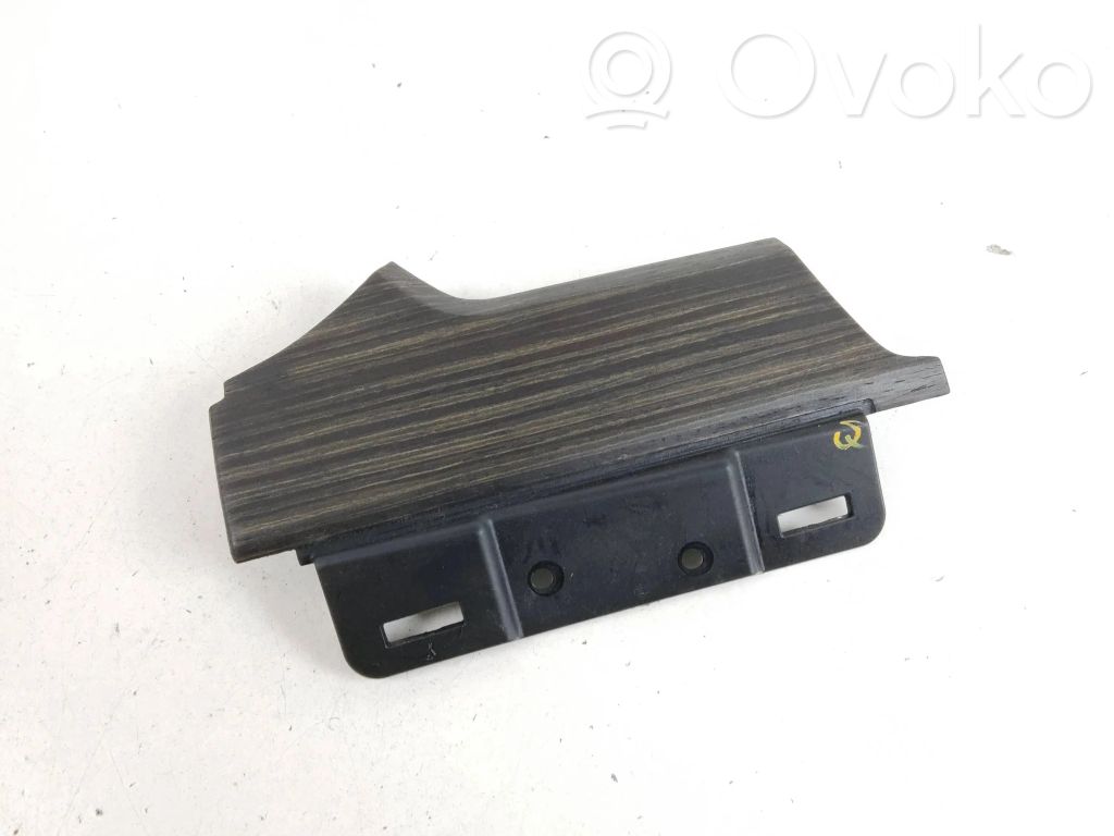Tesla Model S Rivestimento del pannello 