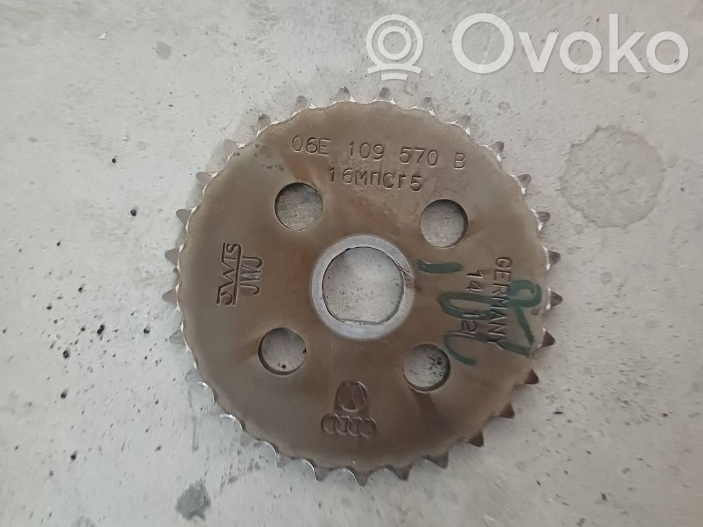 Audi Q7 4L Öljypumpun tasapainoakseli 