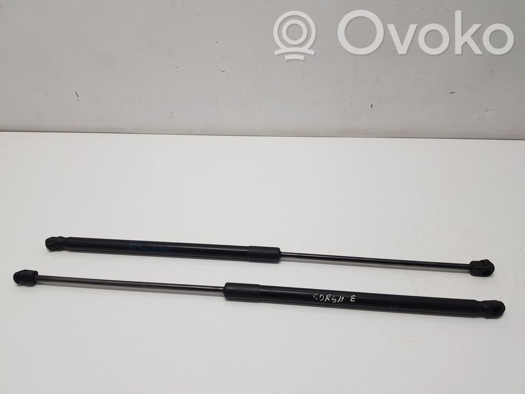 Tailgate/trunk strut/damper   13428064,315005777