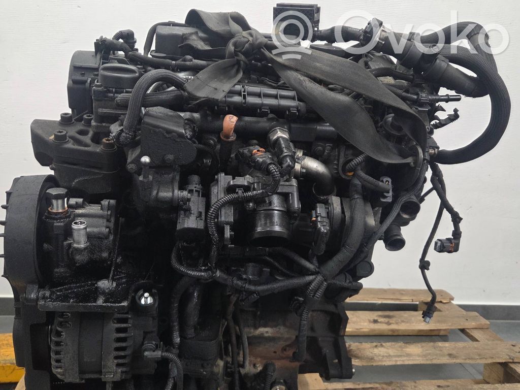 Engine   DW10FUC,AHP