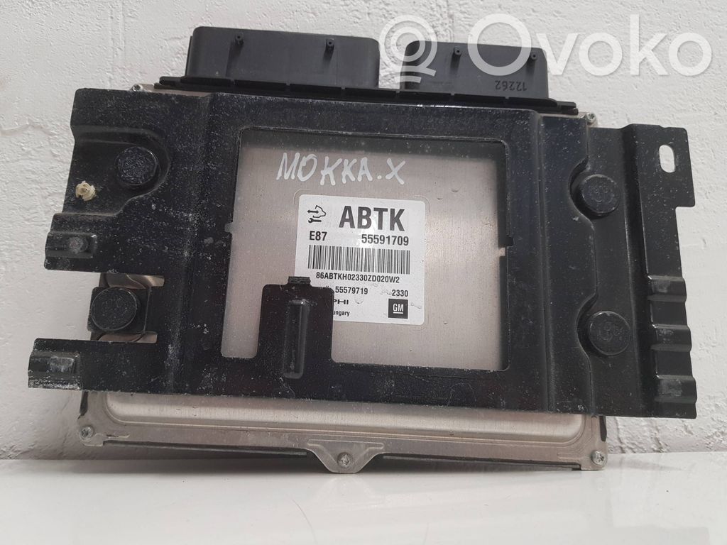 Opel Mokka Unitate/modul de control motor 