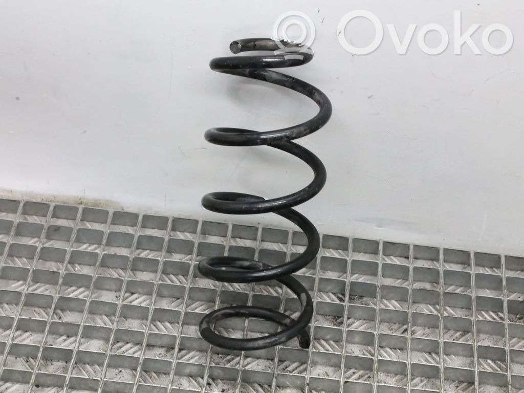 Rear coil spring