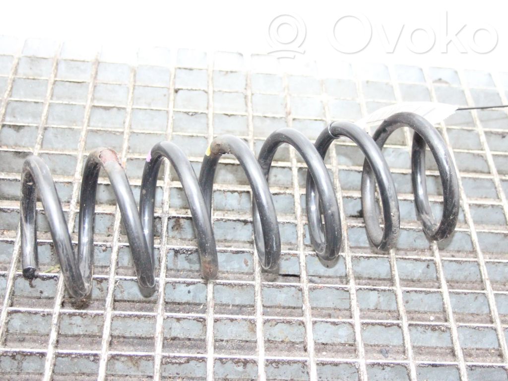 Rear coil spring