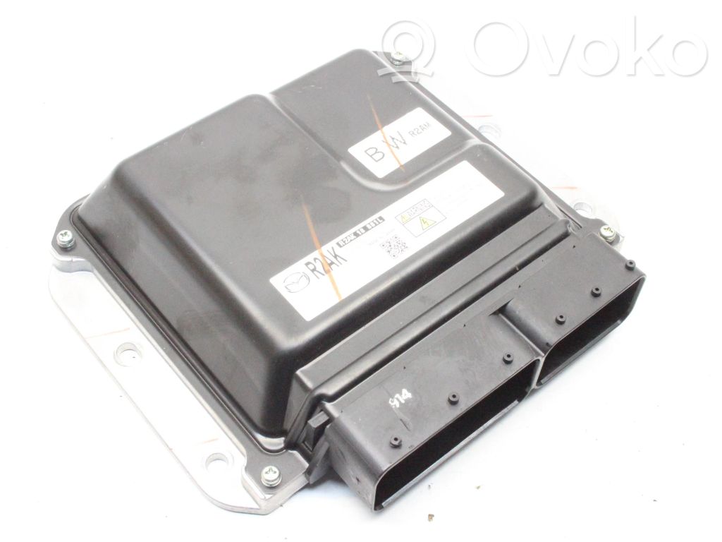 Engine control unit/module   R2AK18881L,2758008389