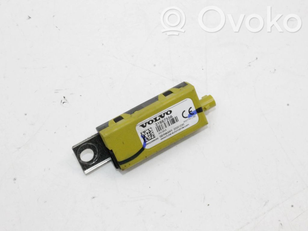Amplificatore antenna   31667556