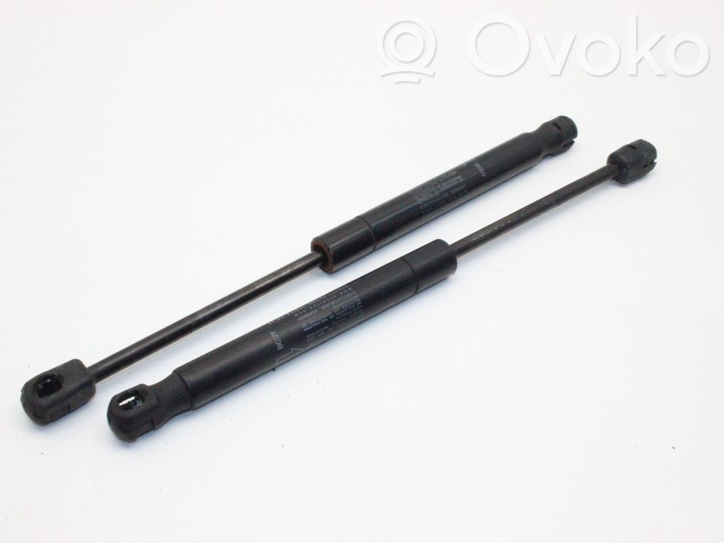 Land Rover Range Rover Evoque L538 Ammortizzatore portellone anteriore/cofano