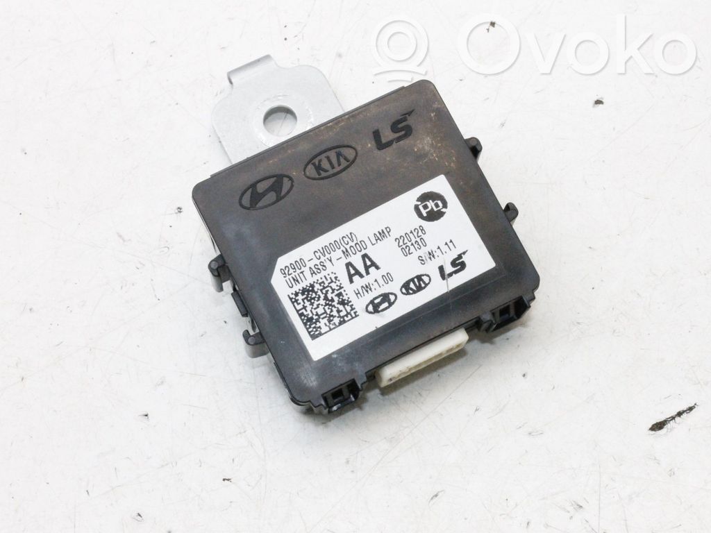 Module d'éclairage LCM   92900CV000