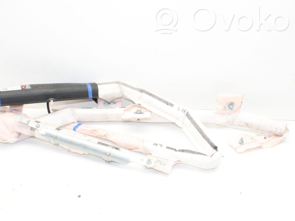 Airbag del techo   100526100E