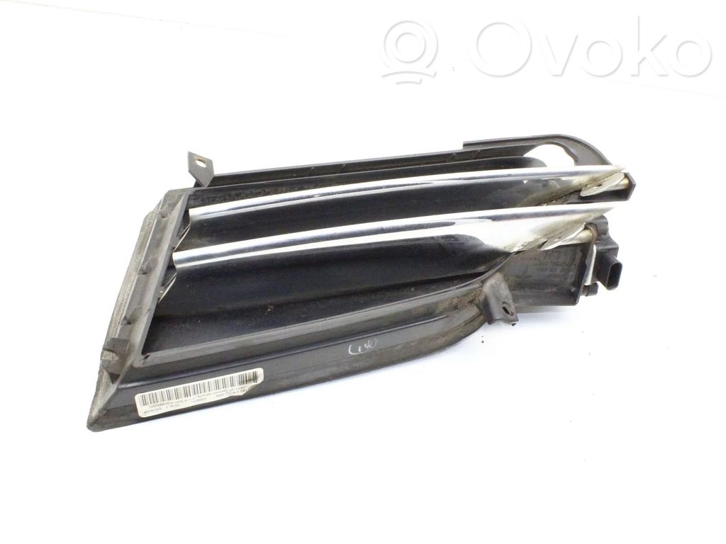 Front grill   100726800E