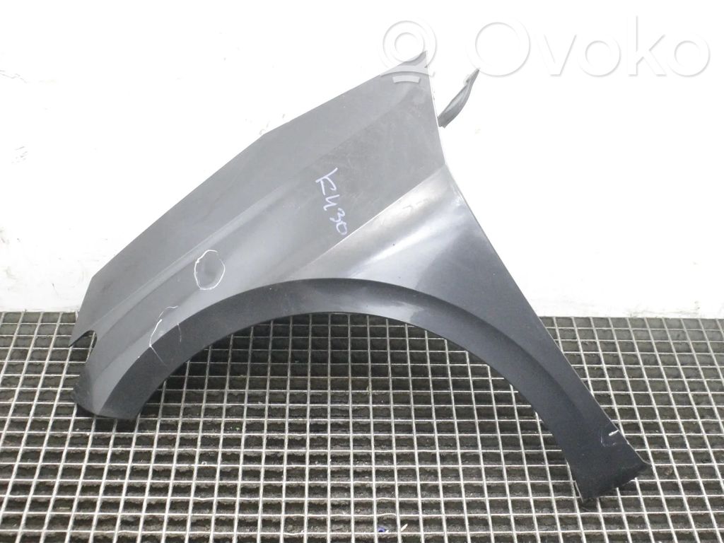 Cupra Born Fender 