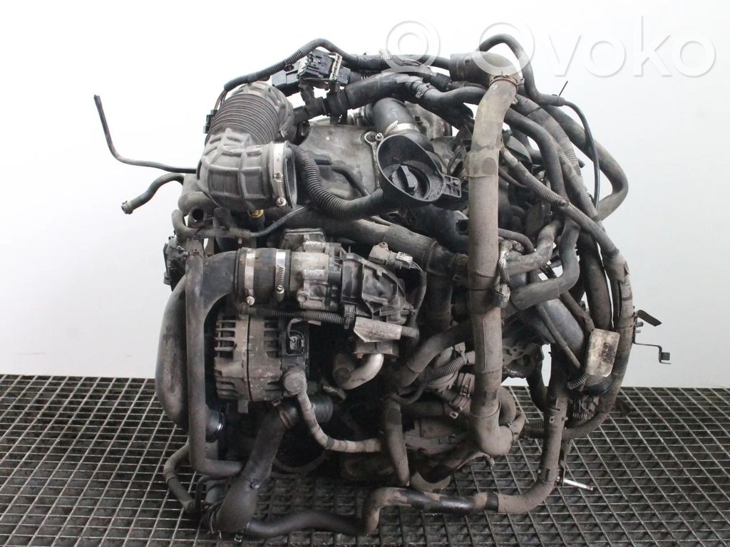 Motor   YMR6