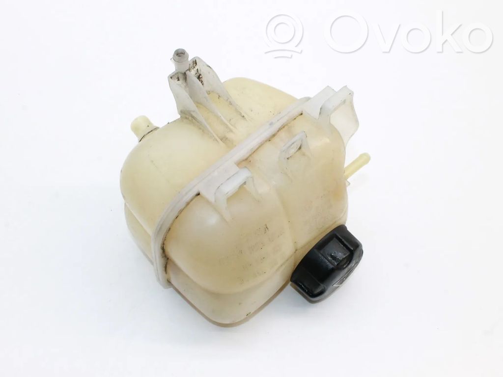 Mini Cooper Countryman R60 Serbatoio di compensazione del liquido refrigerante/vaschetta