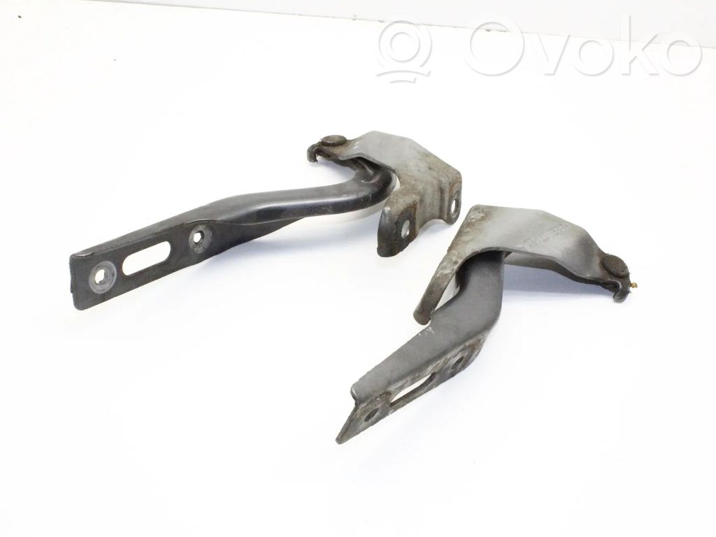 Bisagras del capó/tapa del motor
