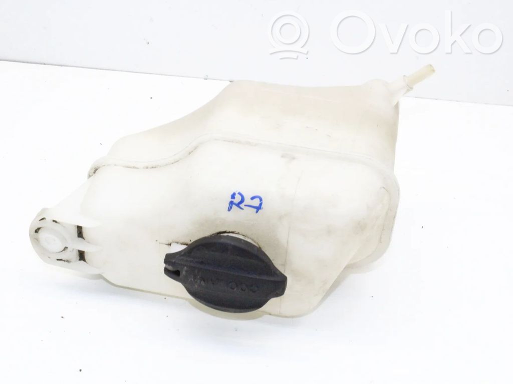 Hyundai Santa Fe Serbatoio di compensazione del liquido refrigerante/vaschetta