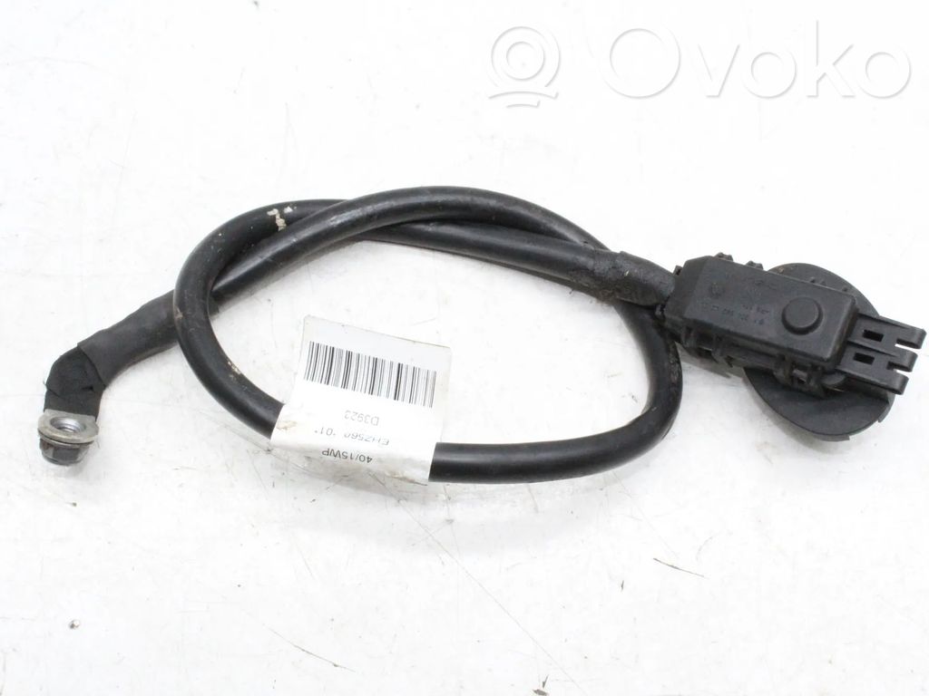 Mercedes-Benz E W212 Cavo negativo messa a terra (batteria) 