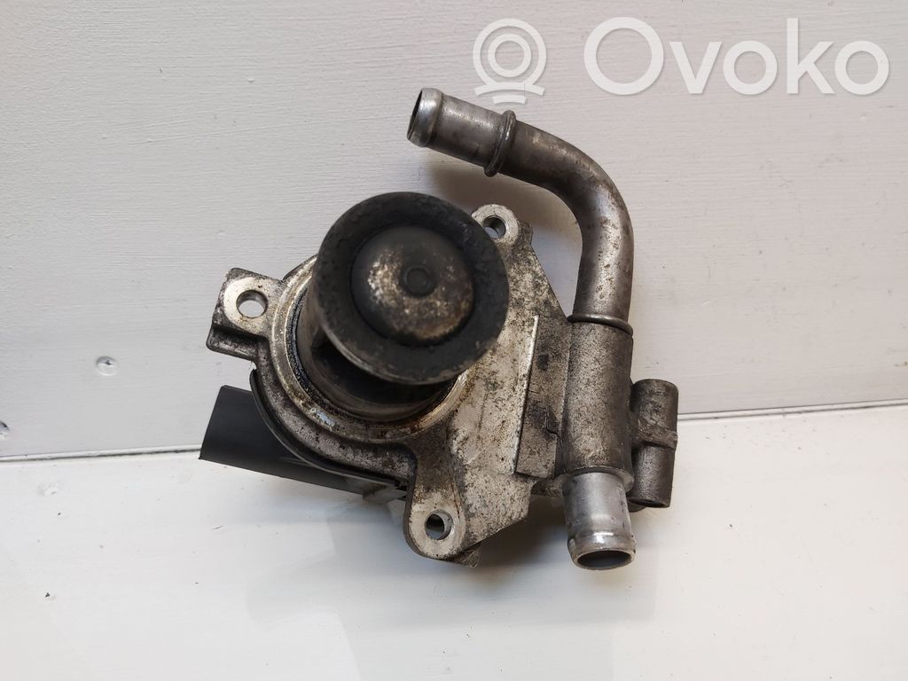 Nissan Juke I F15 Válvula EGR 