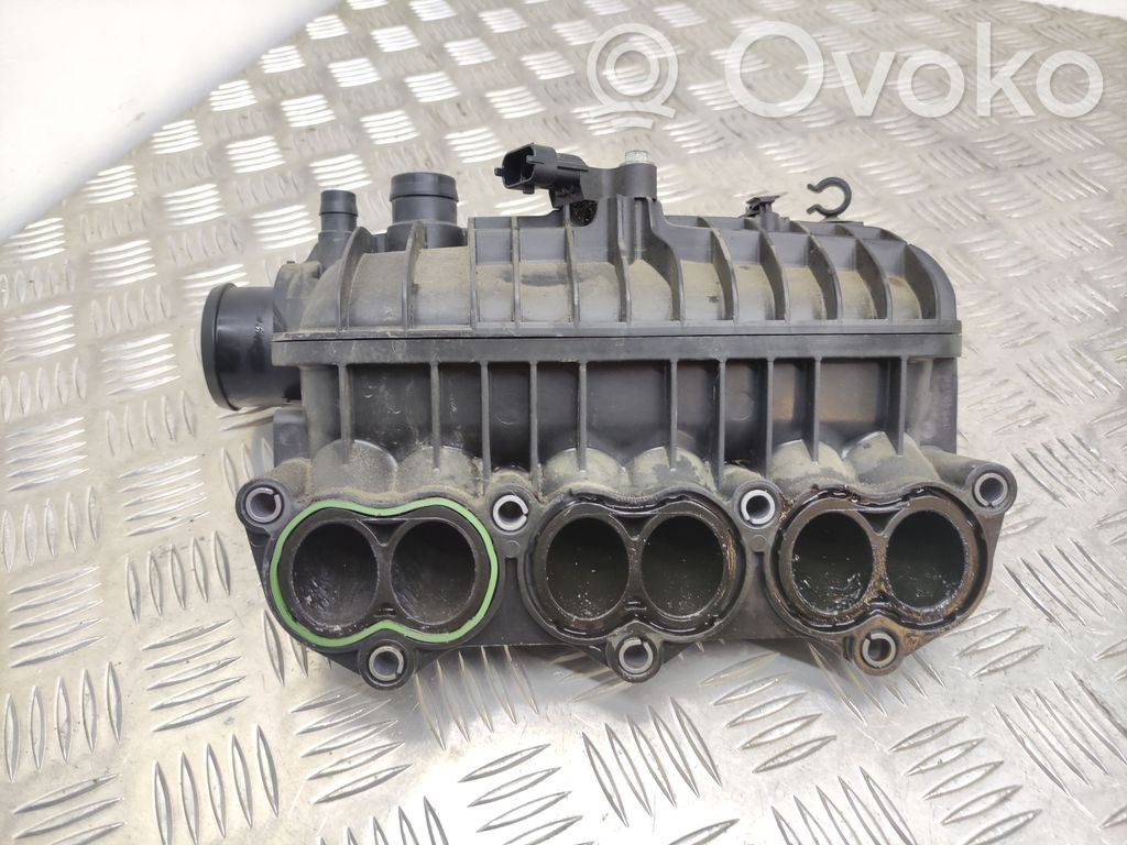 Ford Focus Collettore di aspirazione 