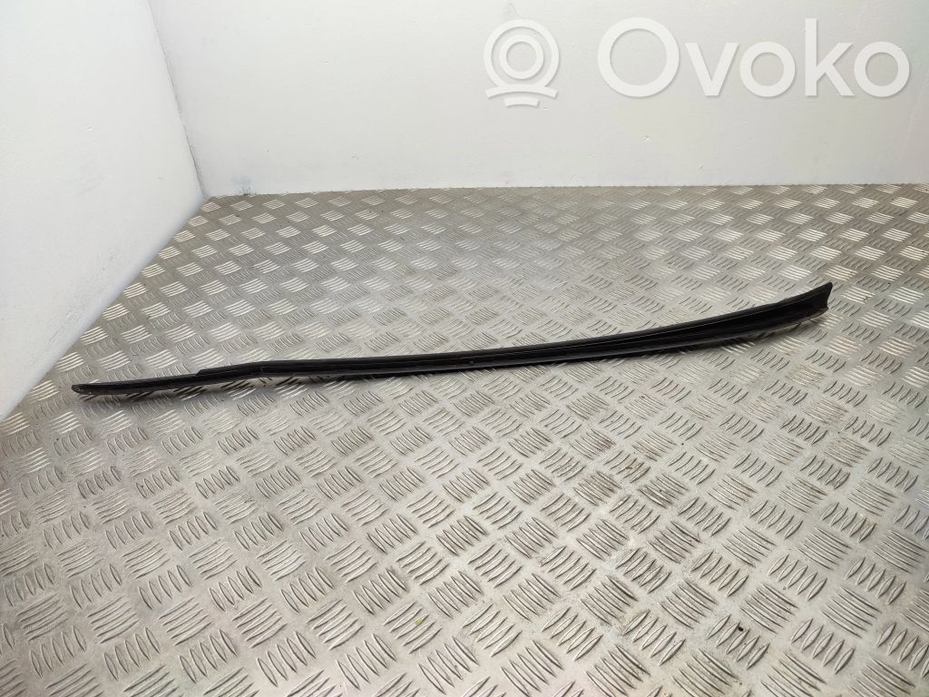 Ford Focus Windshield trim 