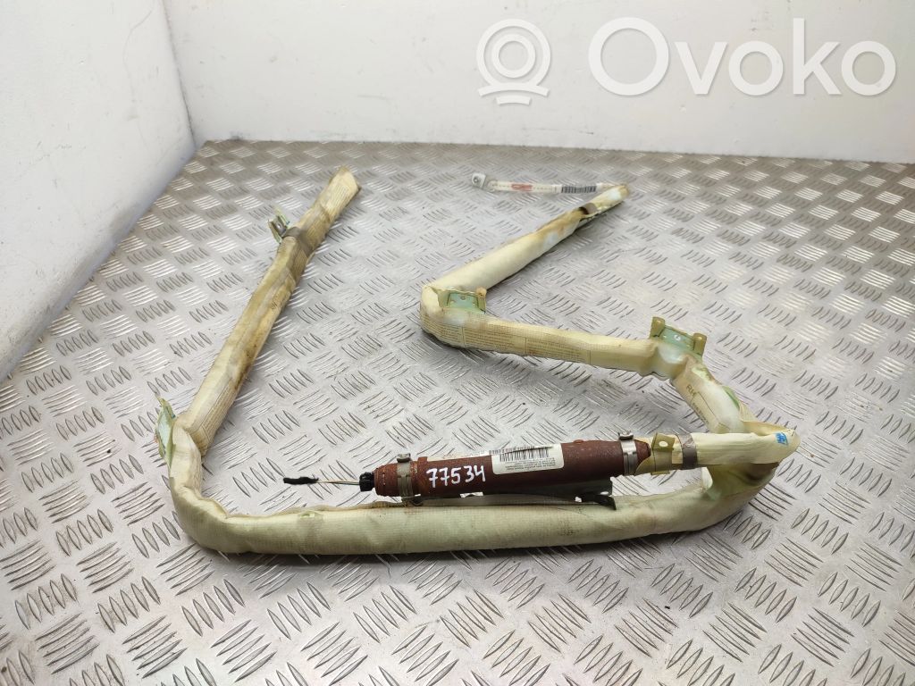 BMW X6 E71 Airbag del techo 
