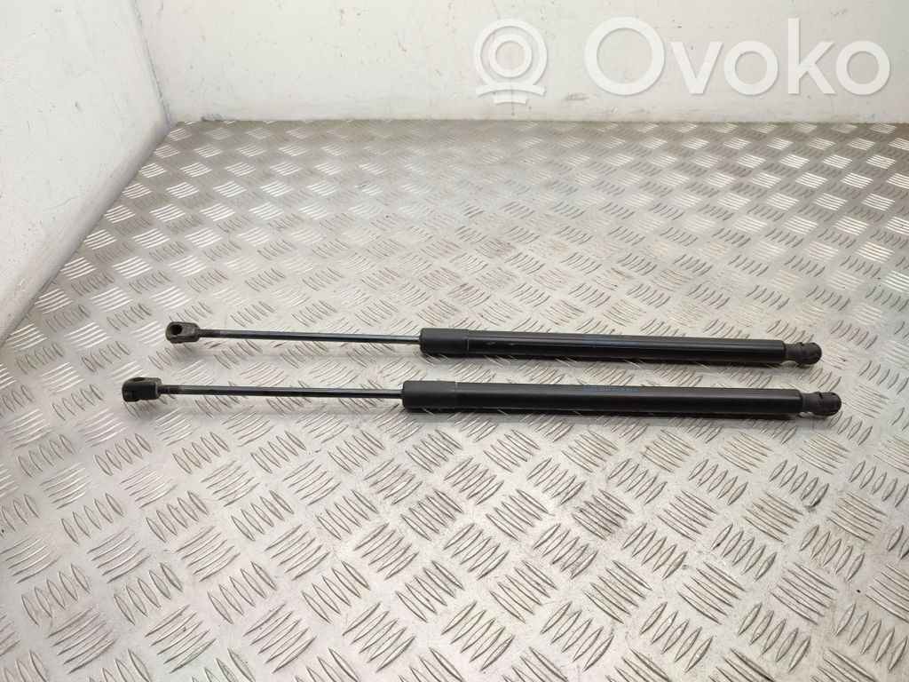 Seat Ateca Tailgate/trunk strut/damper 
