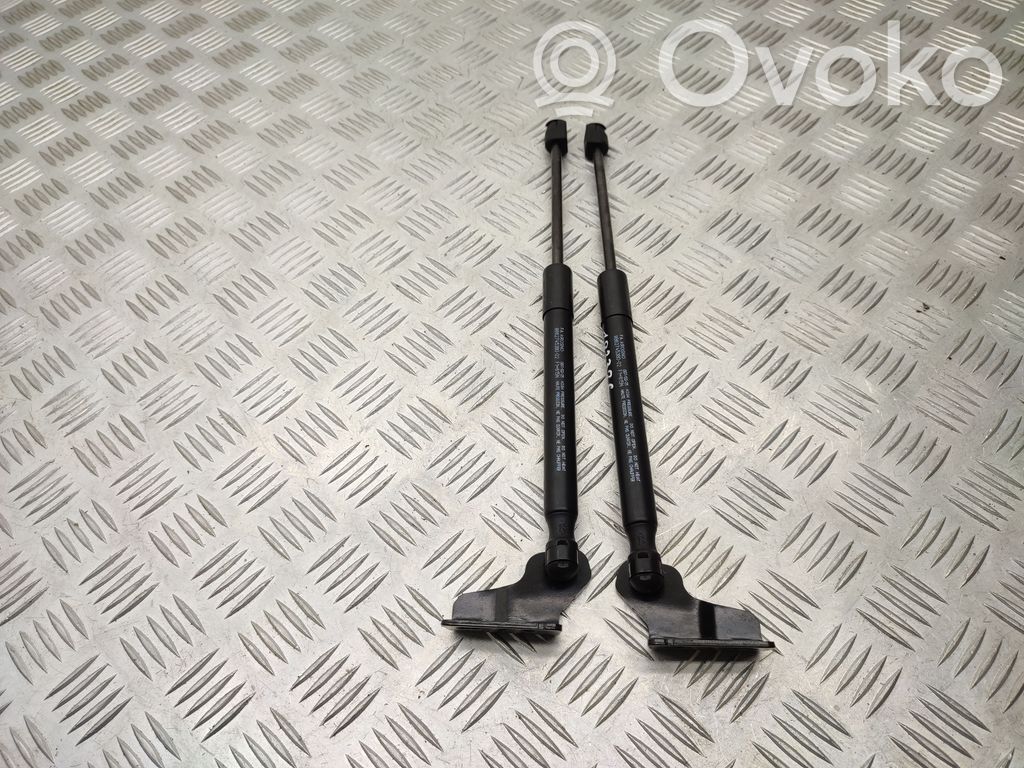Citroen e-C3 Tailgate/trunk strut/damper 