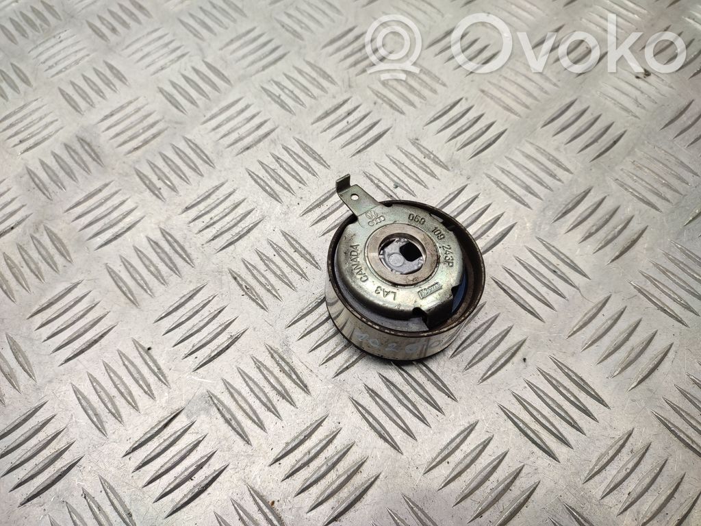 Diržo įtempėjo skriemulys   059109243P