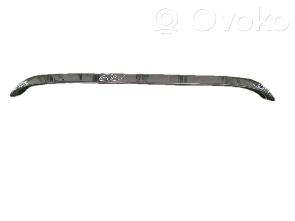 Tailgate/trunk spoiler   156088662