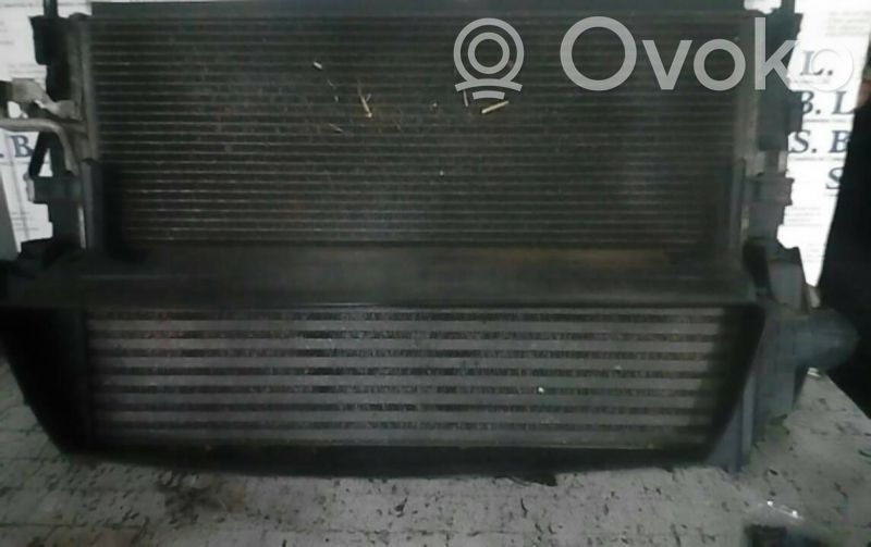 Intercooler radiator   4N5H,9L440,VF