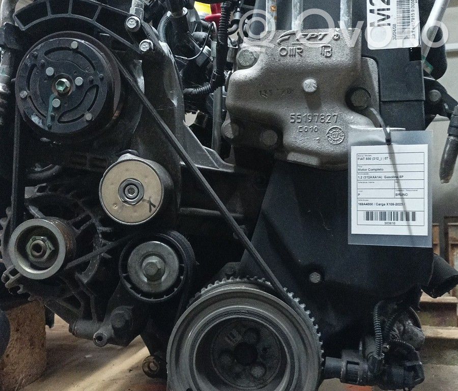 Variklis   169A4000