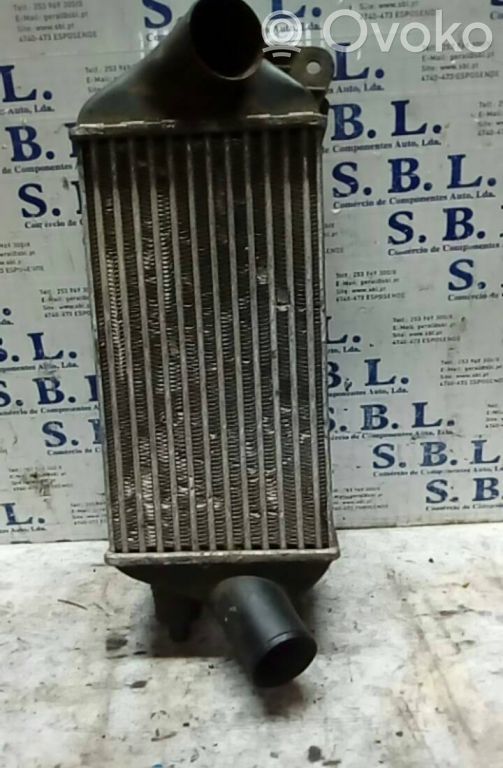 Intercooler radiator   82416363