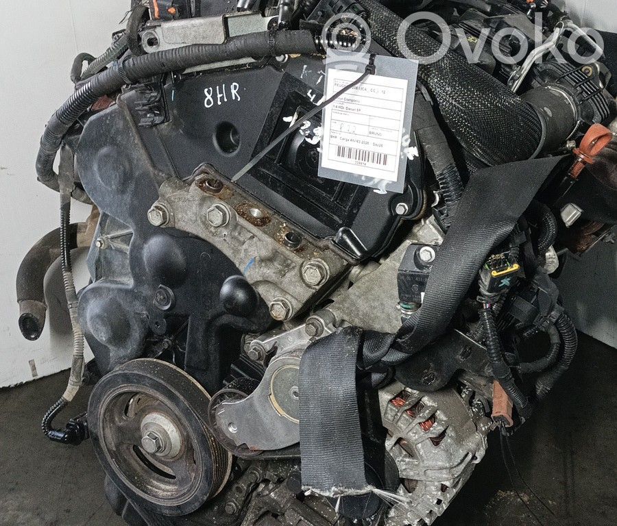 Motor   8HR,BRUNO,DEZ25