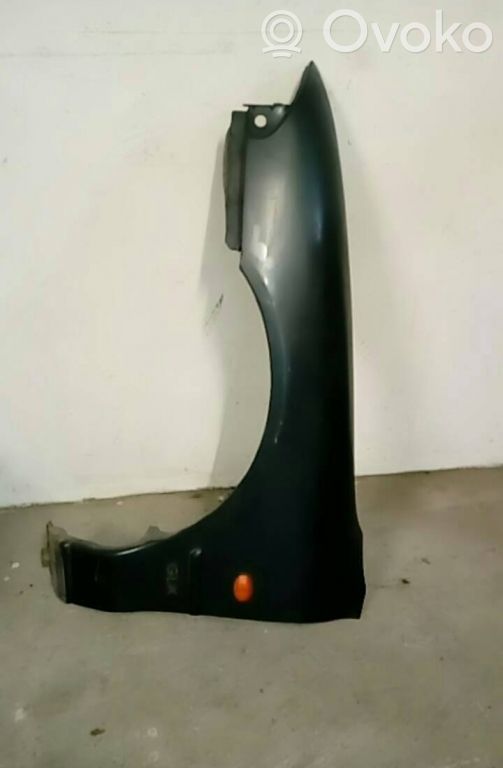 Guardabarro