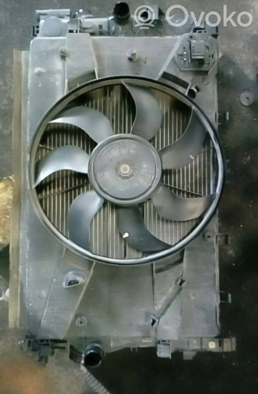 Elektrolüfter   0130307203,13250341,BRUNO