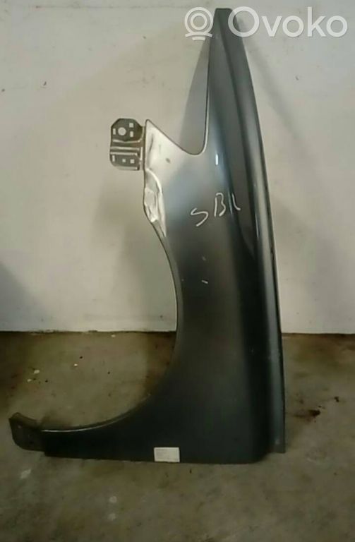 Guardabarro   CINZA