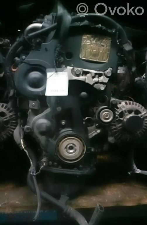 Moteur   8HZ,D252019