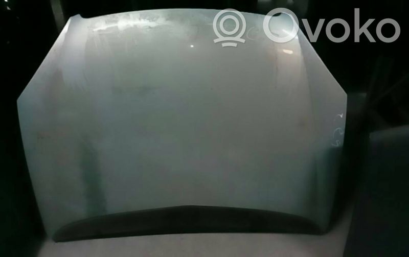 Motorhaube   CINZA