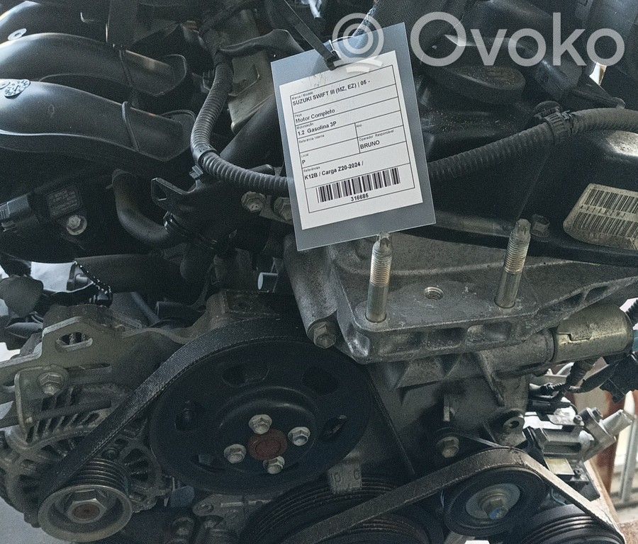 Motor   K12B,BRUNO,CARGAZ202024