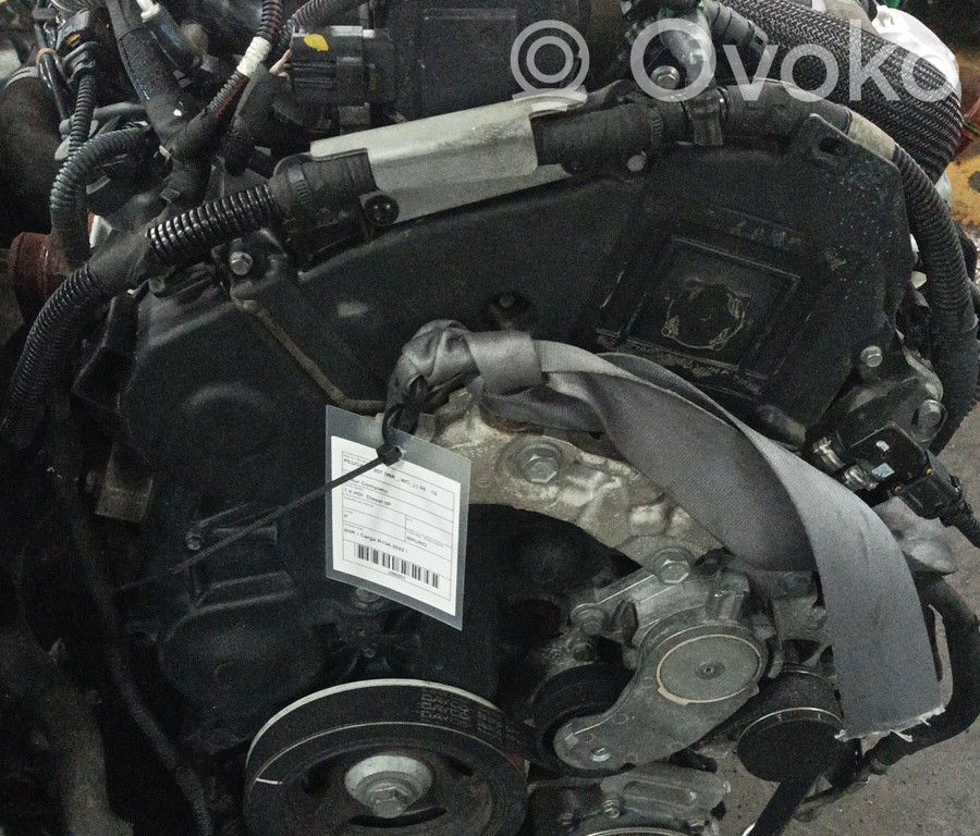 Motor   8HR,BRUNO,CARGAR1342022