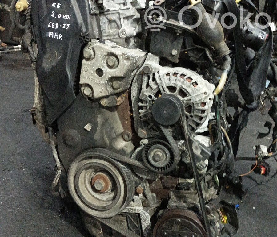 Engine   RHR,BRUNO