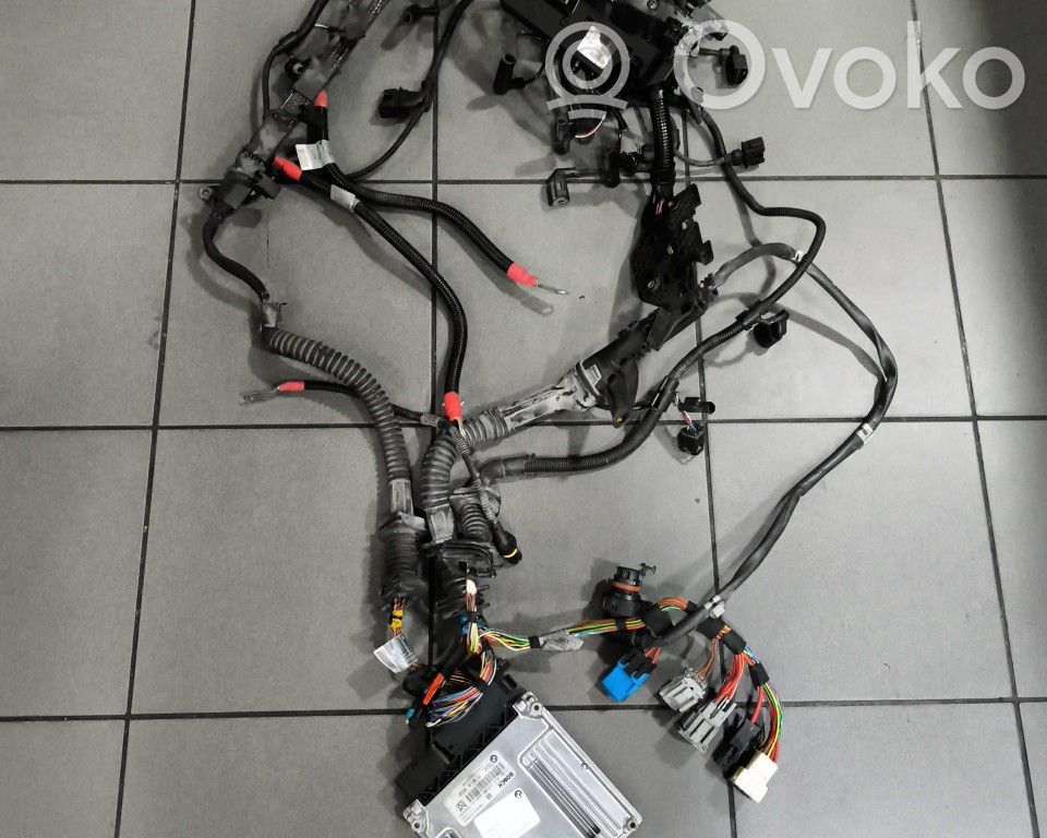 Motorkabelbaum Leitungssatz   0281015240,306D3,FILIPE