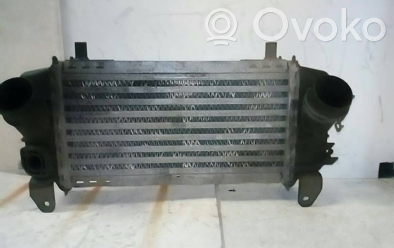 Intercooler radiator   8Z0145804